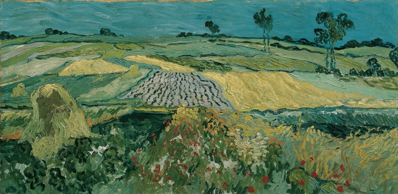 Belvedere Gallery