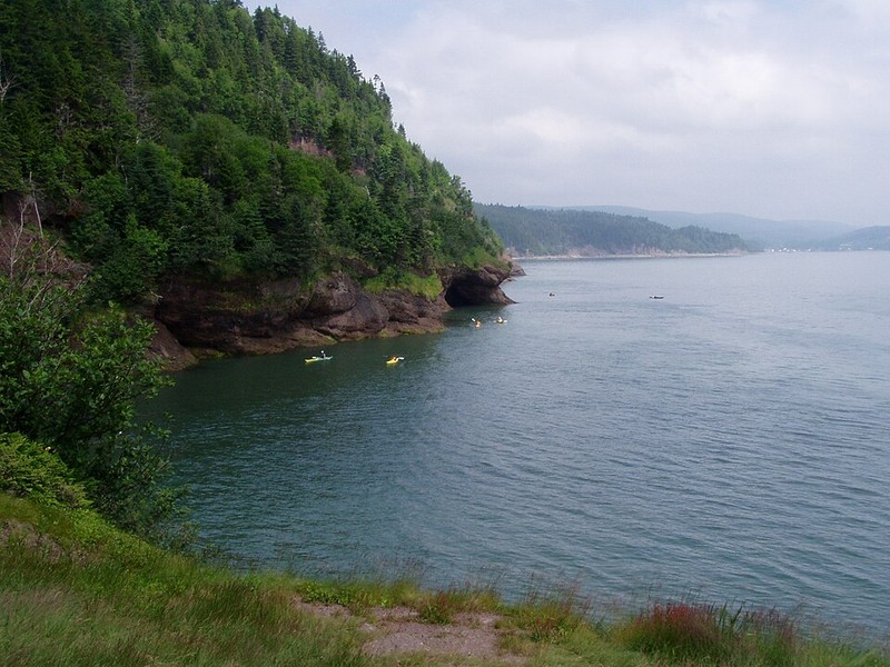 Parque Nacional Fundy