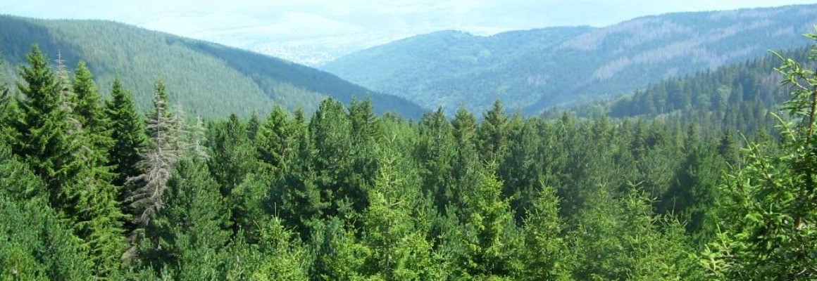 Naturpark Vitosha