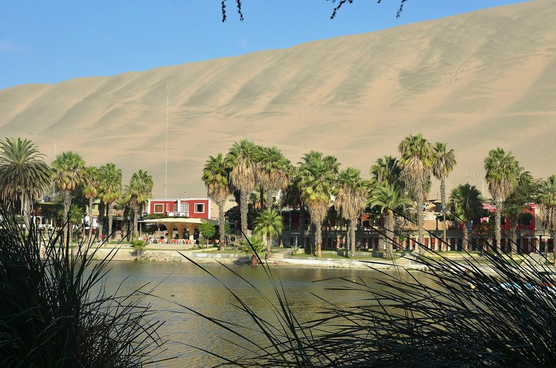 Oasis de Huacachina
