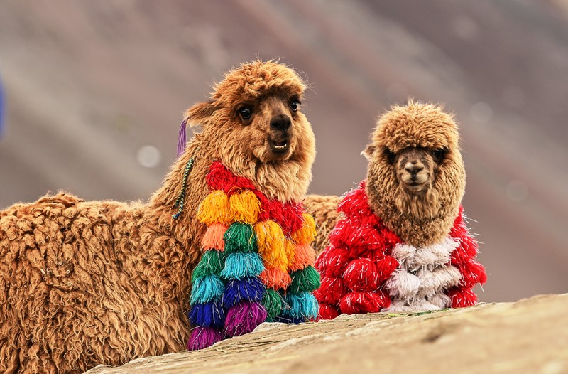 Montaña de Siete Colores de Vinicunca