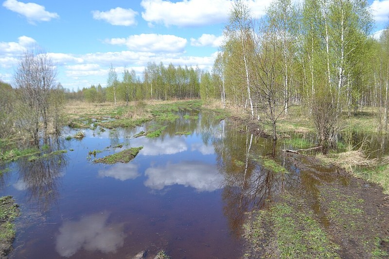 Мещерскій Національний Парк