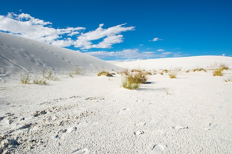 National Park White Sands - photo 12