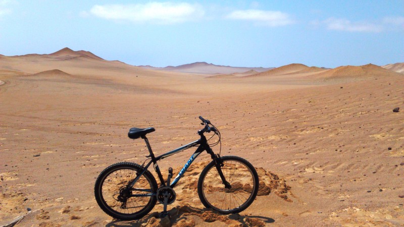 Réserve nationale de Paracas