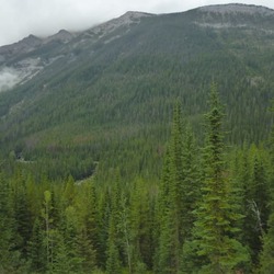 ヨーホー国立公園