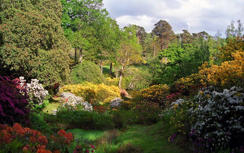 Garden of Leonardslee