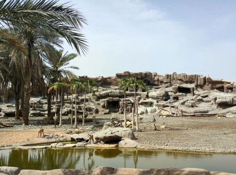 Sharjah Zoo - photo 1