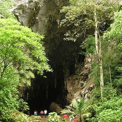 Nationalpark El Guácharo