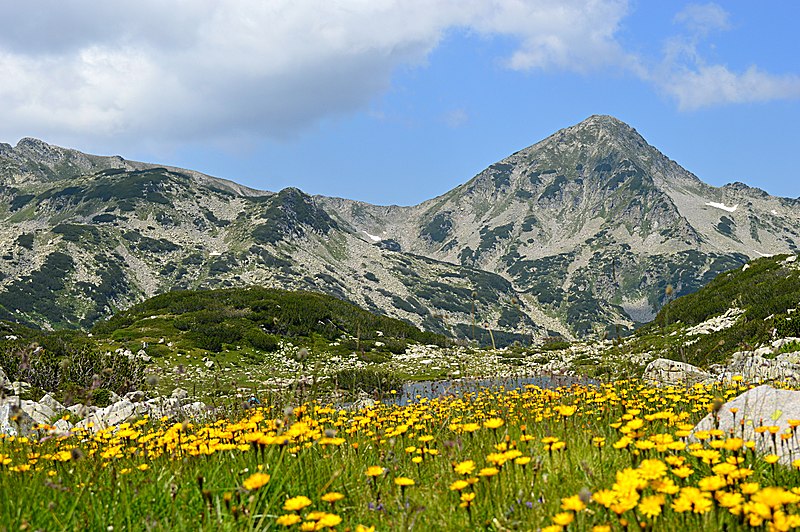 Parque Nacional Pirin