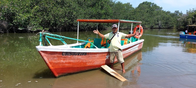 Mangroves de Tumbes