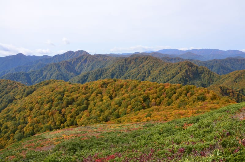 Shirakami mountains
