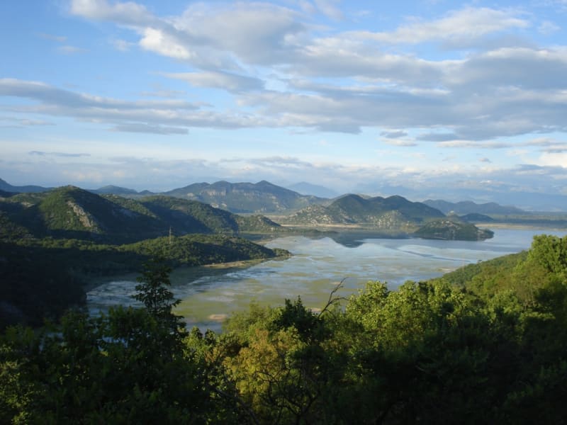 Скадарское озеро