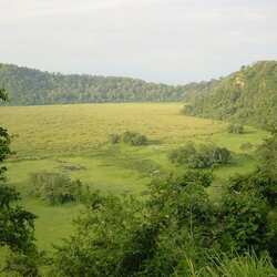 Arusha National Park