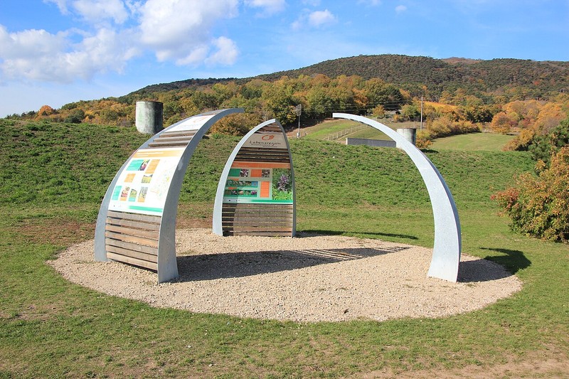 Bosque de Viena