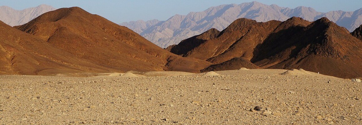 Negev Desert