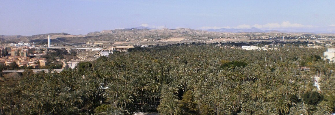 Palmeraie d'Elche