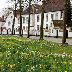 ブルージュのベギン会修道院