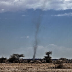 セレンゲティ国立公園
