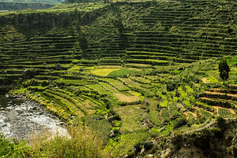 Canyon de Colca