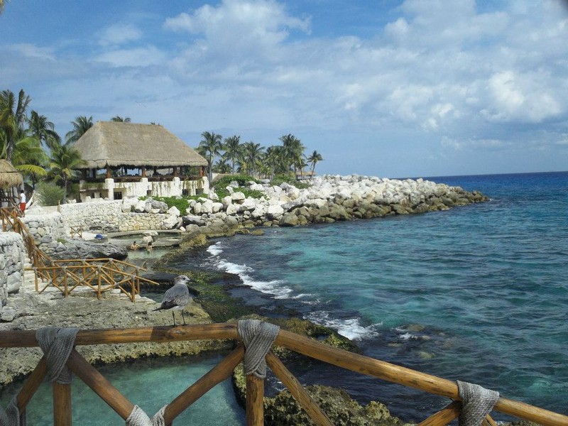 Shel-Ha