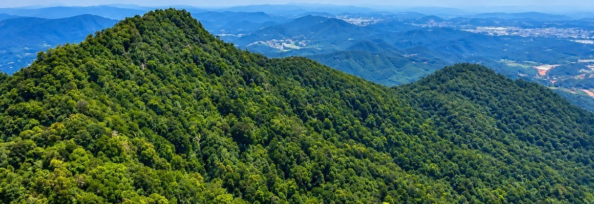 Гора Лангбианг