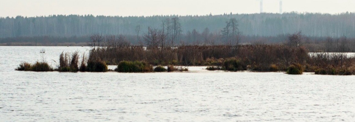 Losiny Ostrov National Park