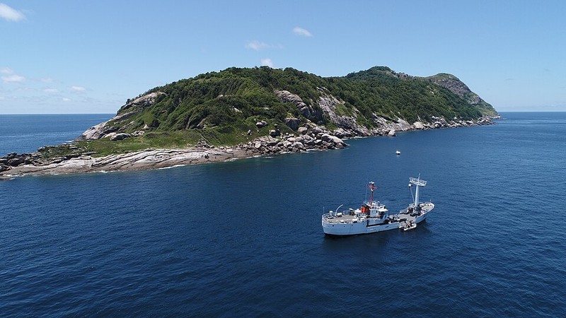 Île de Queimada Grande - photo 8