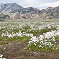 瓦特纳冰川国家公园
