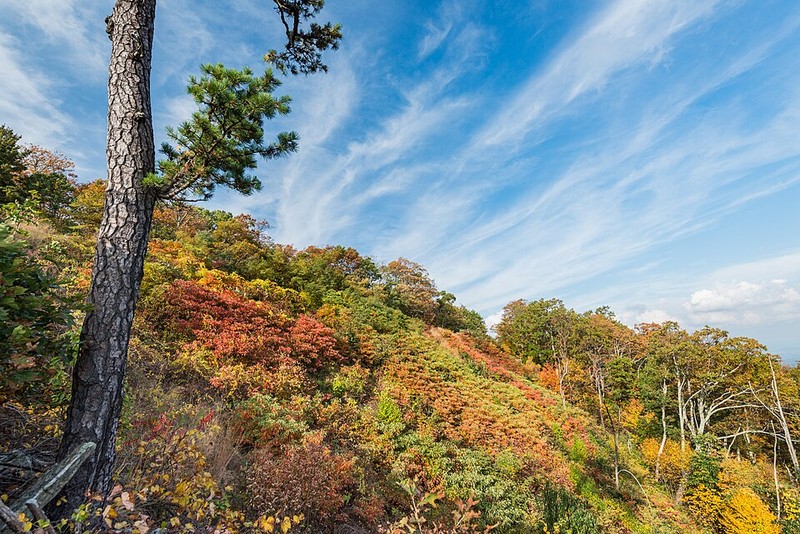 Shenandoah National Park