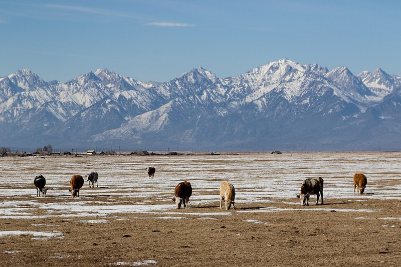 Parque Nacional Tunkinsky - photo 10