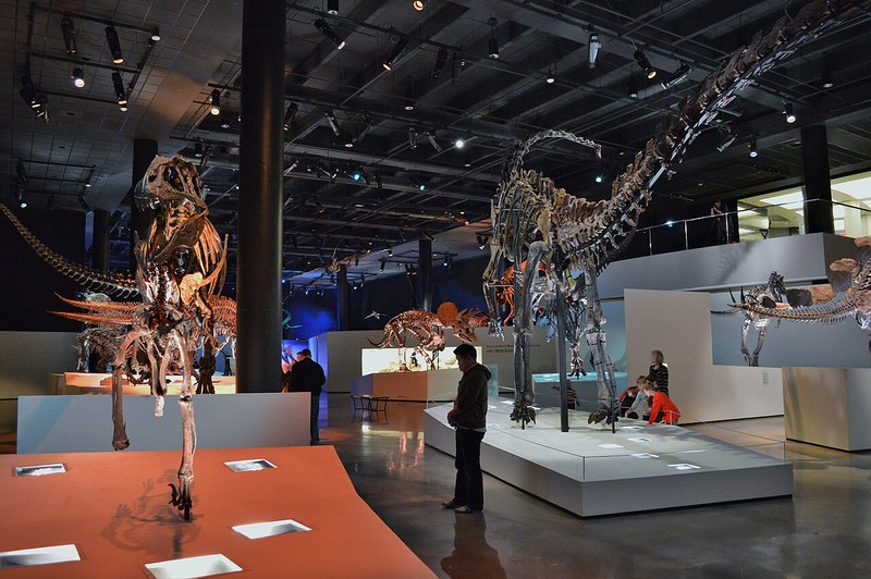 Houston Museum für Naturwissenschaften