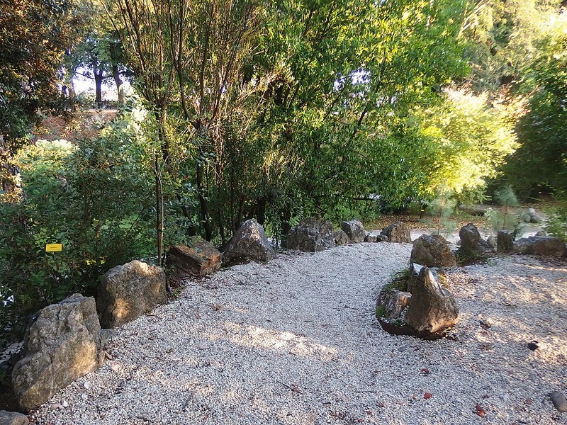 卢卡植物园 - photo 8