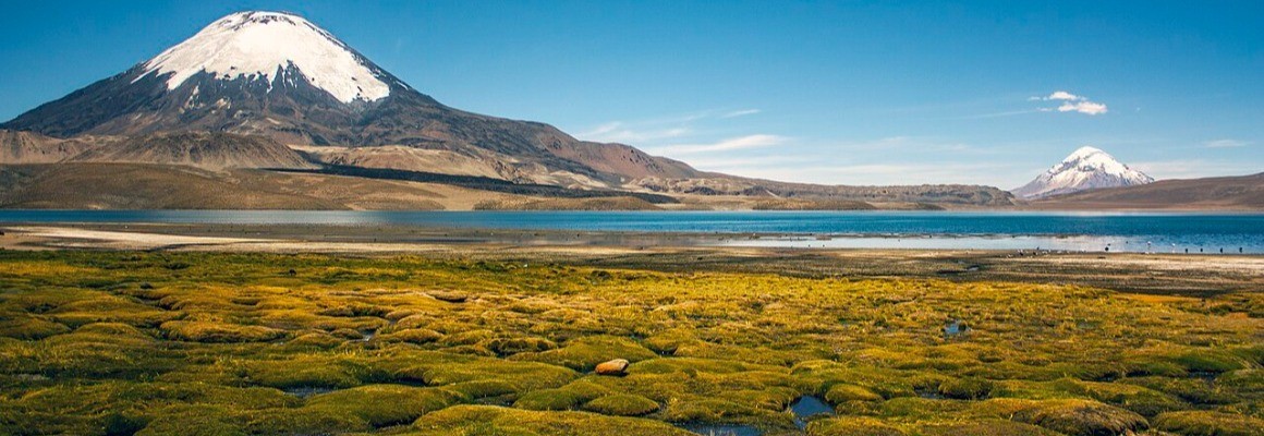 Nationalpark Lauca