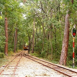 佩奇森林铁路