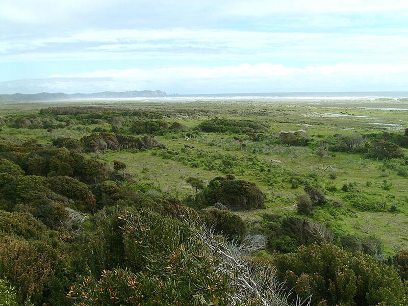 Chiloe National Park