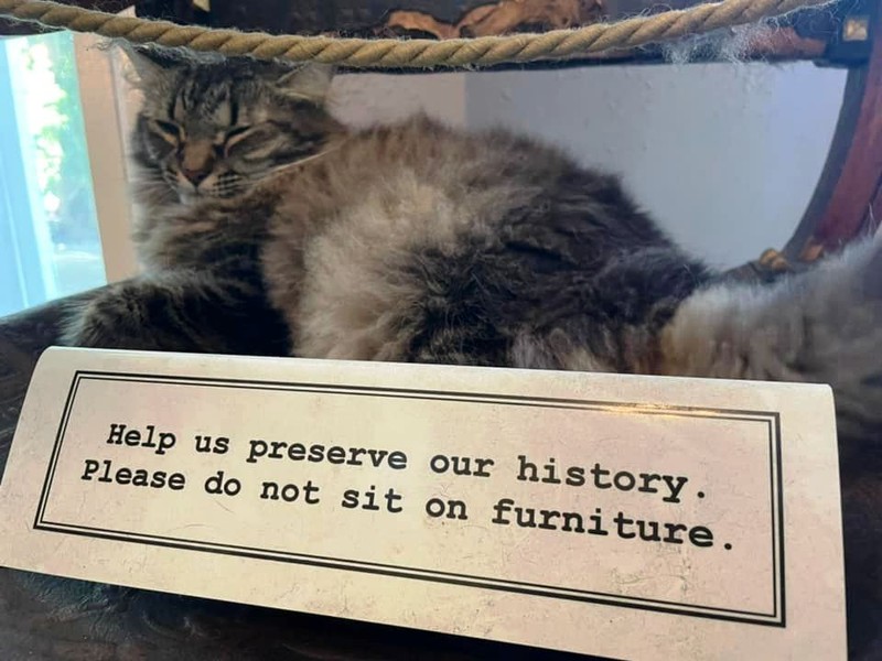 Дом-музей Эрнеста Хемингуэя в Чикаго