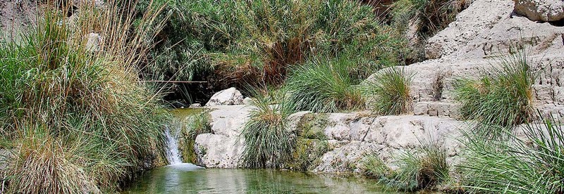 Parque Nacional Ein Gedi