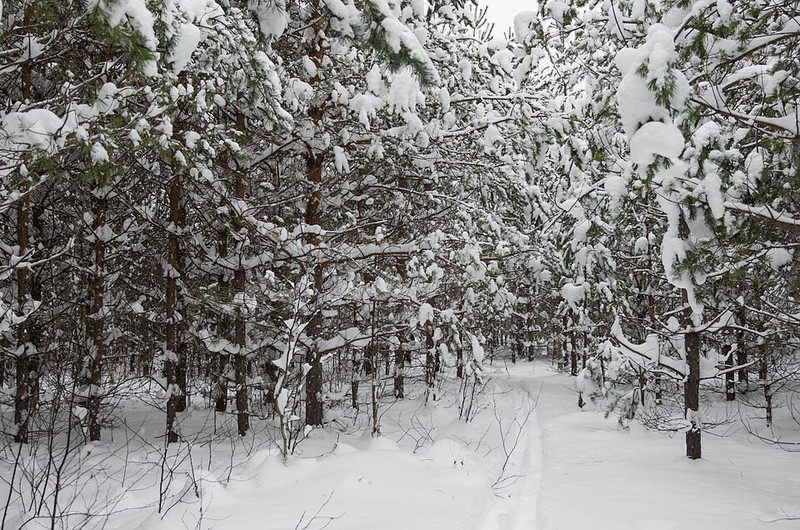 Parc national de Meshchyora