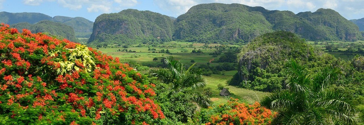 Viñales Valley