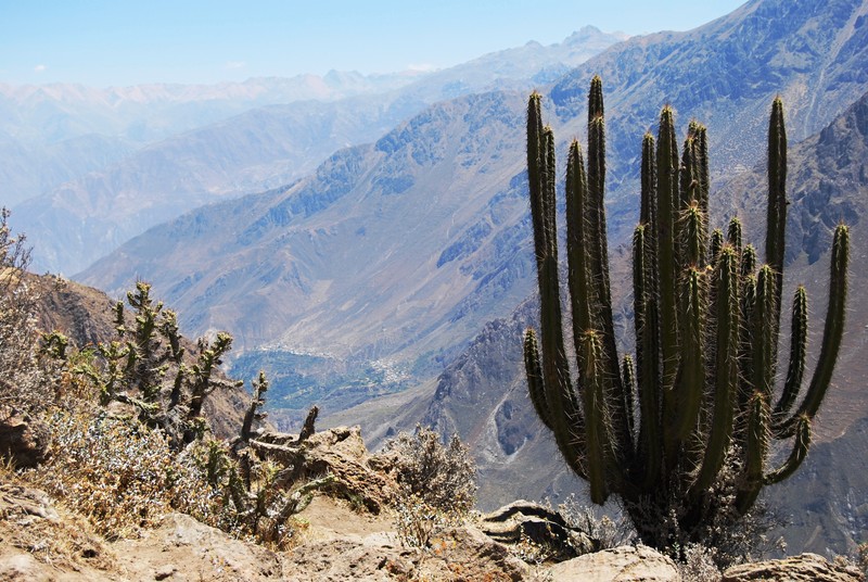 Canyon de Colca