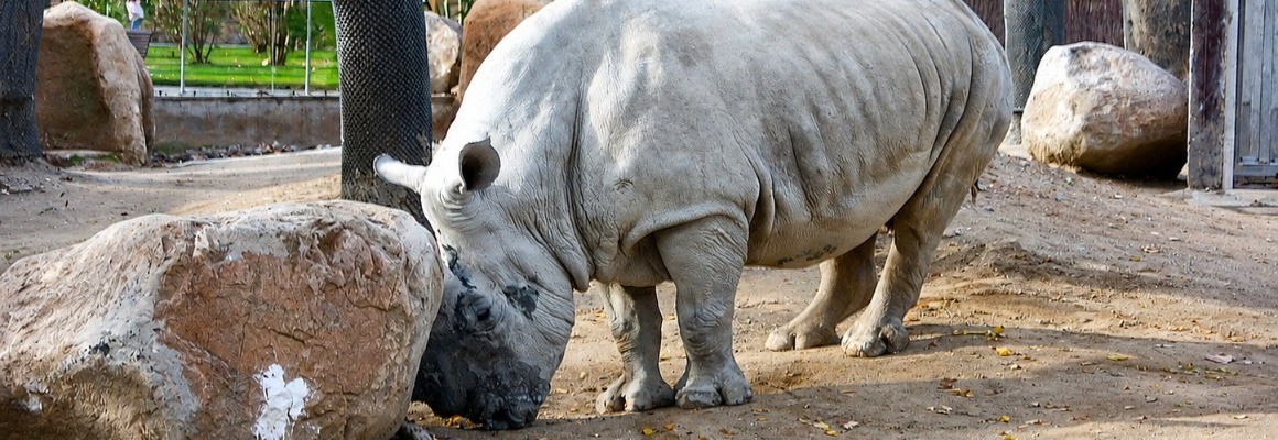 Zoo de Barcelona