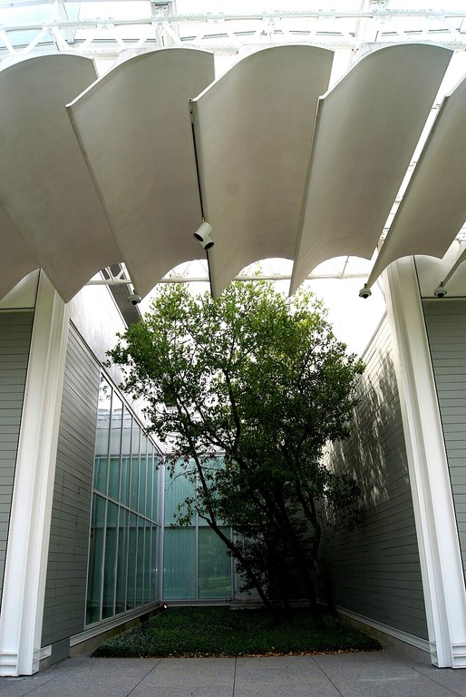 The Menil Collection