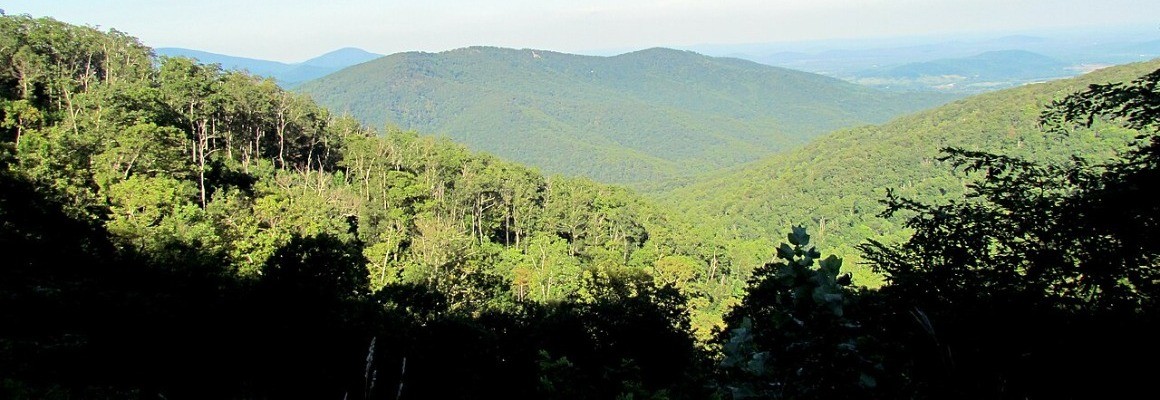 Shenandoah National Park