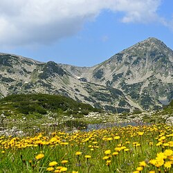 ピリン国立公園