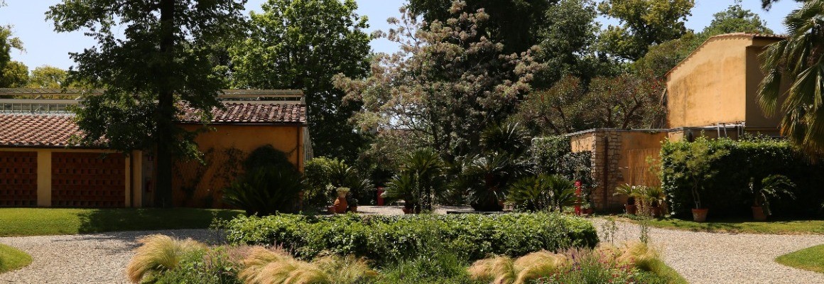 Jardin Botanique de Pise