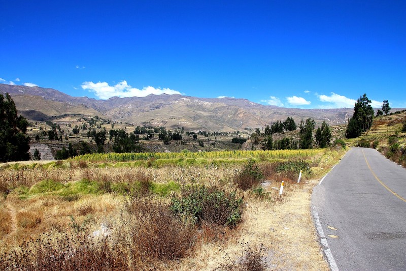 Canyon de Colca