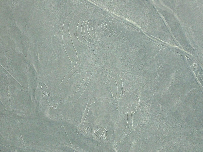 Lignes de Nazca
