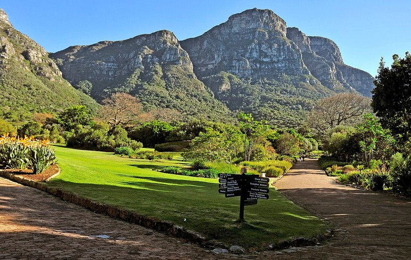 Kirstenbosch