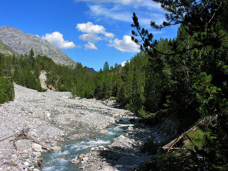 Parque Nacional Suizo