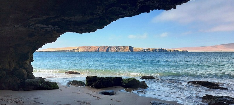 Réserve nationale de Paracas